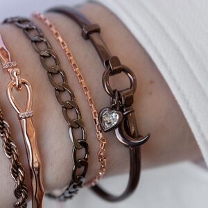 Alex and Ani Moon Duo Clip Bangle